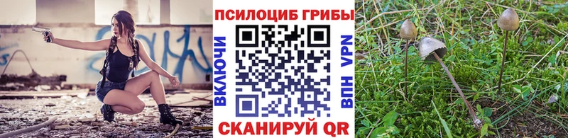 купить  сайты  MEGA ТОР  Галлюциногенные грибы GOLDEN TEACHER  Анжеро-Судженск 