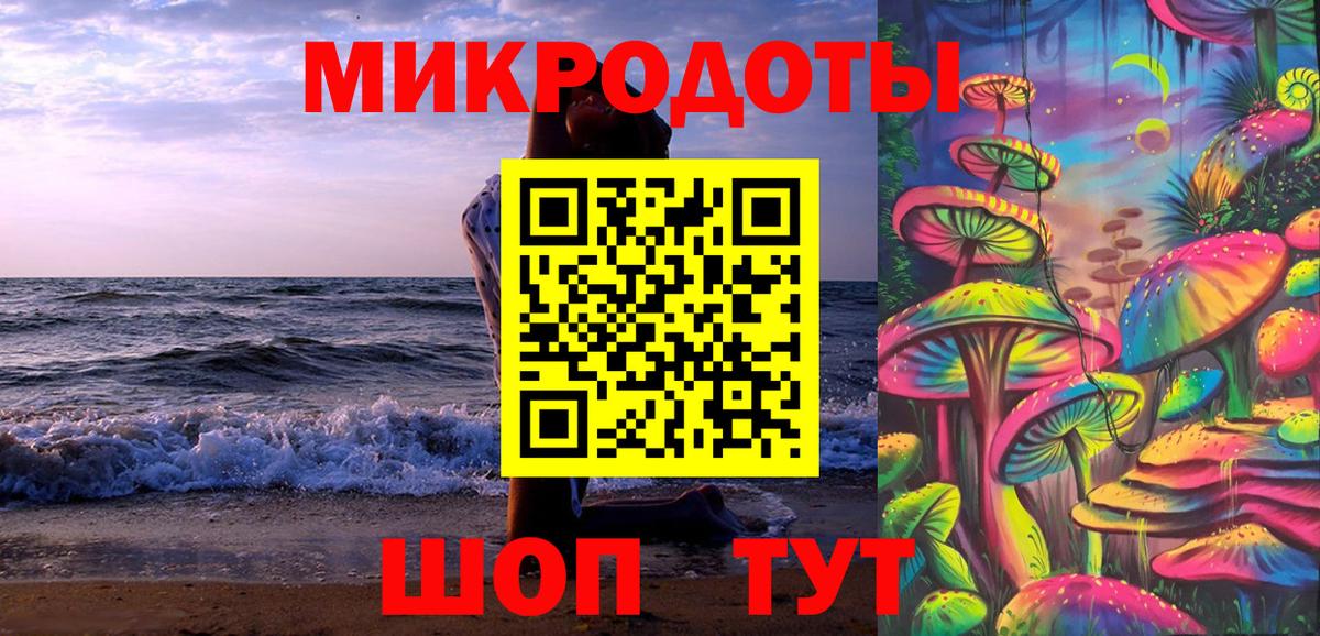 Галлюциногенные грибы Psilocybine cubensis Анжеро-Судженск