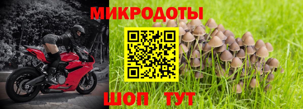Галлюциногенные грибы Cubensis  Вход с VPN  Анжеро-Судженск 